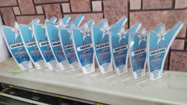 Acrylic Award shields - Image 3